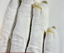 Genesthetics: Corpus Illuminatus, announcement for solo exhibition at Emily Harvey Gallery, 1999